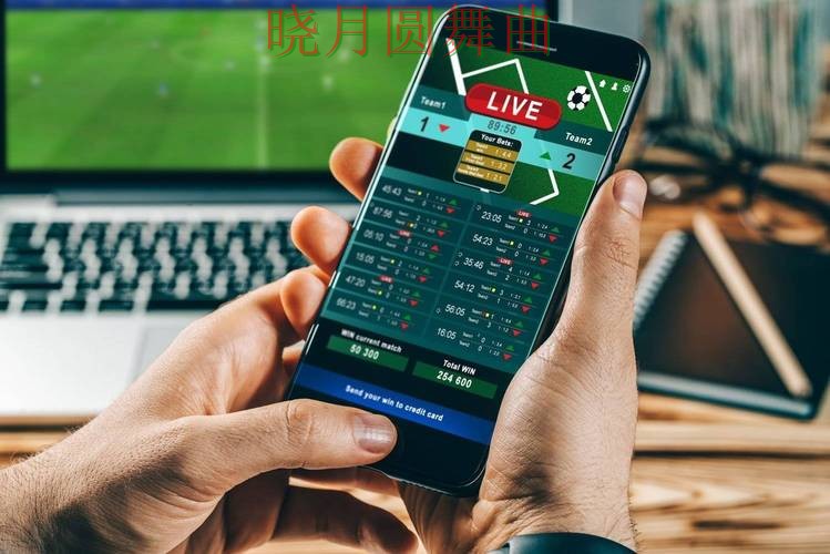 世界杯投注平台新手最容易踩的坑有哪些经验分享 世界杯投注平台新手最容易踩的坑有哪些经验分享